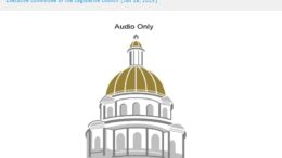 audio livestreaming