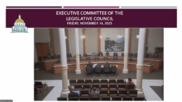 Executive Committee of Legislative Council